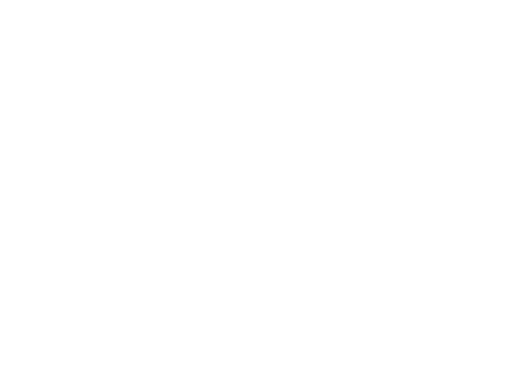 打蝶人第二弹